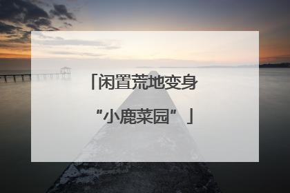 闲置荒地变身“小鹿菜园”