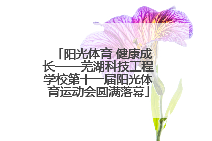 阳光体育 健康成长——芜湖科技工程学校第十一届阳光体育运动会圆满落幕
