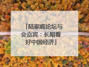 陆家嘴论坛与会嘉宾：长期看好中国经济