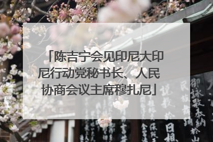 陈吉宁会见印尼大印尼行动党秘书长、人民协商会议主席穆扎尼