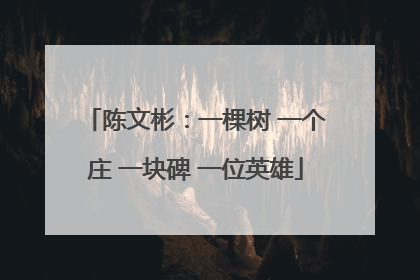 陈文彬：一棵树 一个庄 一块碑 一位英雄