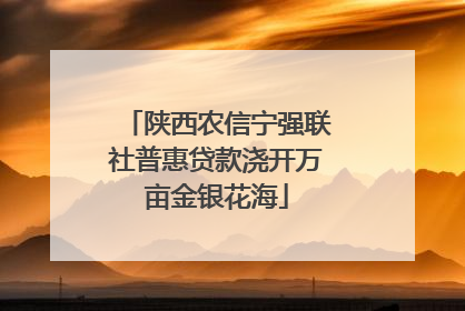 陕西农信宁强联社普惠贷款浇开万亩金银花海