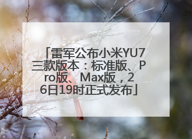 雷军公布小米YU7三款版本：标准版、Pro版、Max版，26日19时正式发布