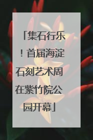 集石行乐！首届海淀石刻艺术周在紫竹院公园开幕