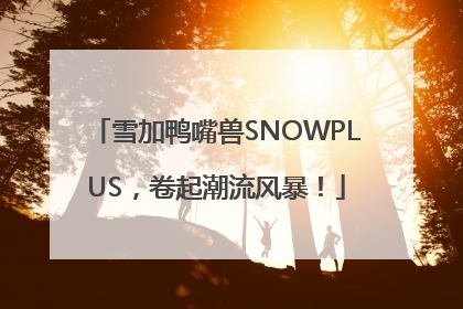 雪加鸭嘴兽SNOWPLUS，卷起潮流风暴！