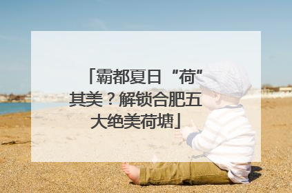 霸都夏日“荷”其美？解锁合肥五大绝美荷塘