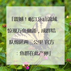 震撼！岷江乐山流域惊现万鱼翻涌，成群结队绵延两三公里 官方：鱼群在此产卵