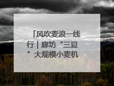 风吹麦浪一线行｜廊坊“三夏”大规模小麦机收全面开始