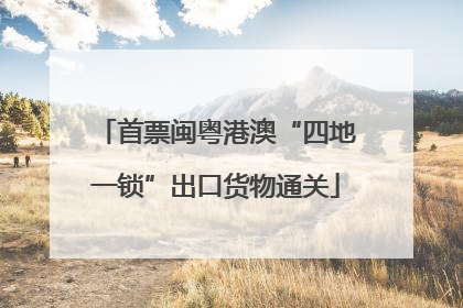 首票闽粤港澳“四地一锁”出口货物通关