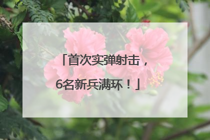 首次实弹射击，6名新兵满环！