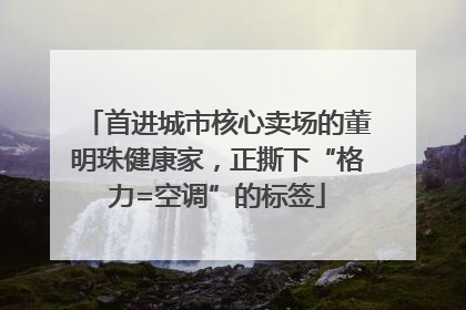 首进城市核心卖场的董明珠健康家，正撕下“格力=空调”的标签