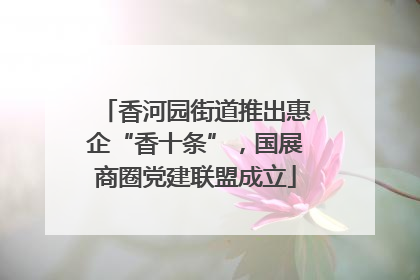 香河园街道推出惠企“香十条”，国展商圈党建联盟成立