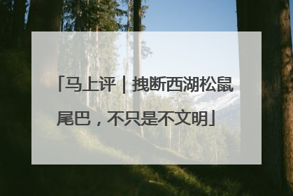 马上评｜拽断西湖松鼠尾巴，不只是不文明