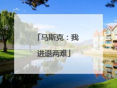 马斯克：我进退两难