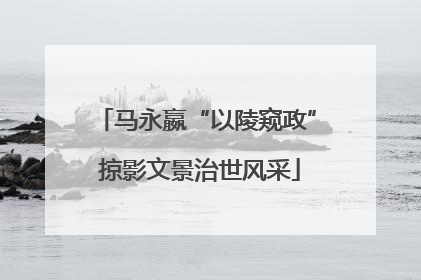 马永嬴“以陵窥政” 掠影文景治世风采