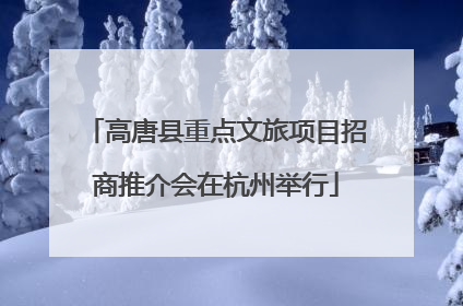 高唐县重点文旅项目招商推介会在杭州举行