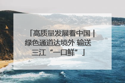 高质量发展看中国｜绿色通道达境外 输送三江“一口鲜”