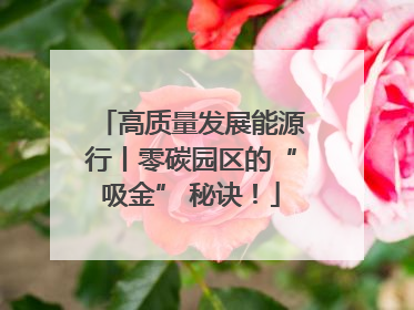 高质量发展能源行丨零碳园区的“吸金” 秘诀！