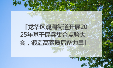 龙华区观澜街道开展2025年基干民兵集合点验大会，锻造高素质后备力量