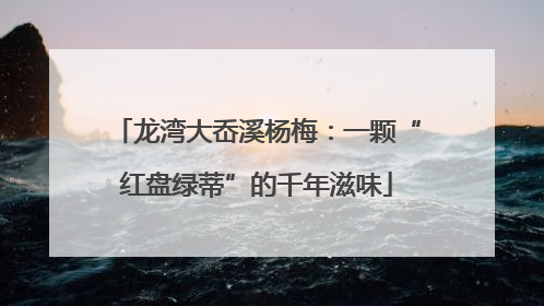 龙湾大岙溪杨梅：一颗“红盘绿蒂”的千年滋味