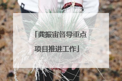龚振宙督导重点项目推进工作