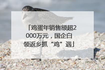 鸡蛋年销售额超2000万元，国企白领返乡抓“鸡”遇