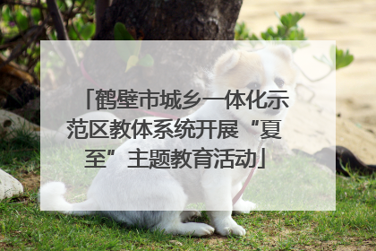 鹤壁市城乡一体化示范区教体系统开展“夏至”主题教育活动