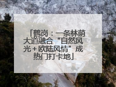 鹤岗：一条林荫大道融合“自然风光＋欧陆风情”成热门打卡地