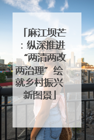 麻江坝芒：纵深推进“两清两改两治理”绘就乡村振兴新图景
