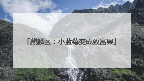 麒麟区：小蓝莓变成致富果