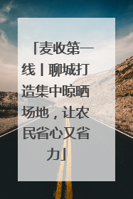 麦收第一线丨聊城打造集中晾晒场地，让农民省心又省力