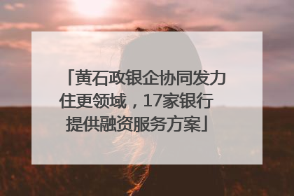 黄石政银企协同发力住更领域，17家银行提供融资服务方案