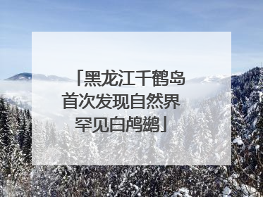 黑龙江千鹤岛首次发现自然界罕见白鸬鹚