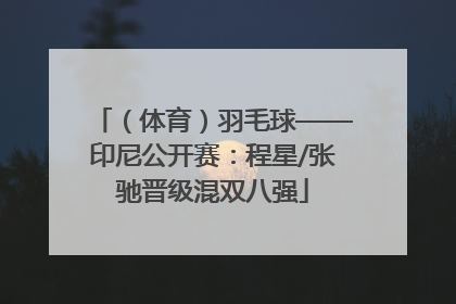 （体育）羽毛球——印尼公开赛：程星/张驰晋级混双八强