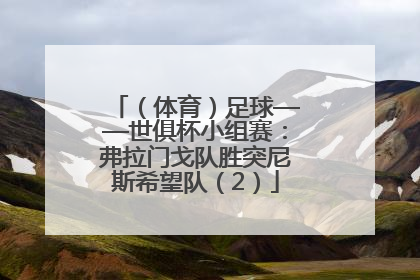 （体育）足球——世俱杯小组赛：弗拉门戈队胜突尼斯希望队（2）