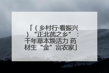 （乡村行·看振兴）“正北芪之乡”：千年草本焕活力 药材生“金”富农家