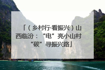 （乡村行·看振兴）山西临汾：“电”亮小山村 “碳”寻振兴路