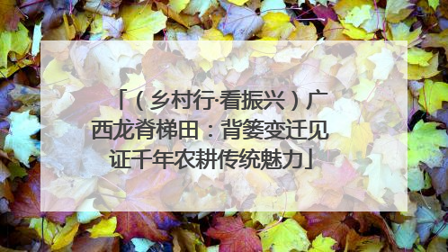 （乡村行·看振兴）广西龙脊梯田：背篓变迁见证千年农耕传统魅力