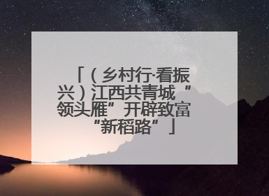 （乡村行·看振兴）江西共青城“领头雁”开辟致富“新稻路”