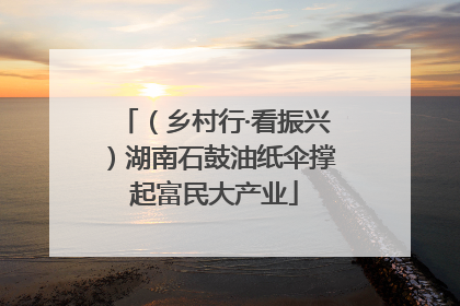 （乡村行·看振兴）湖南石鼓油纸伞撑起富民大产业