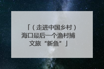 （走进中国乡村）海口最后一个渔村捕文旅“新鱼”