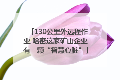 130公里外远程作业 哈密这家矿山企业有一颗“智慧心脏”