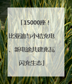 15000座！比亚迪与小桔充电、新电途共建兆瓦闪充生态