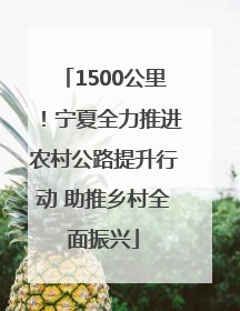 1500公里！宁夏全力推进农村公路提升行动 助推乡村全面振兴