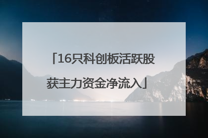 16只科创板活跃股获主力资金净流入