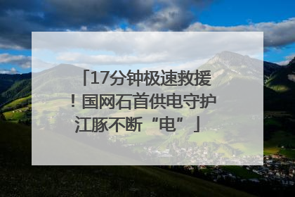 17分钟极速救援！国网石首供电守护江豚不断“电”