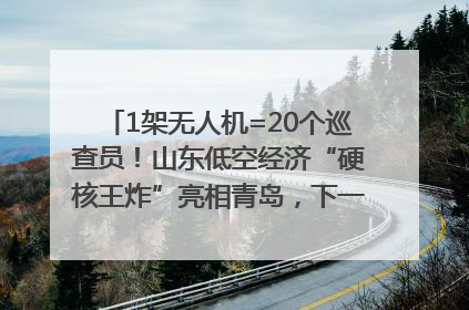 1架无人机=20个巡查员！山东低空经济“硬核王炸”亮相青岛，下一个万亿赛道藏在这里