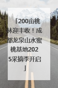 200亩桃林迎丰收！成都龙泉山水蜜桃基地2025采摘季开启