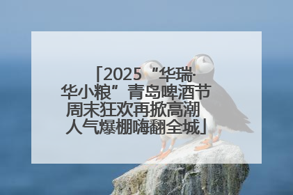 2025“华瑞·华小粮”青岛啤酒节周末狂欢再掀高潮 人气爆棚嗨翻全城