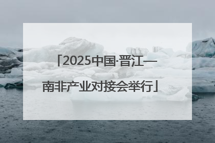 2025中国·晋江—南非产业对接会举行